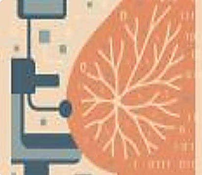 Banco de Imagens de Mamografias em alta resolução