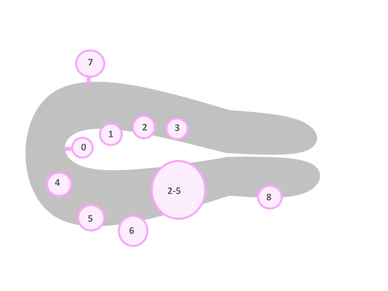 Descrição ultrassonográfica dos achados miometriais - musa