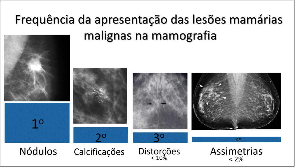 Imagem 10