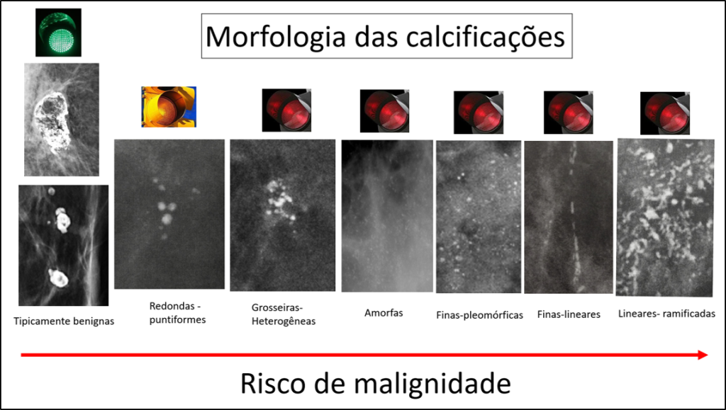 Imagem 15