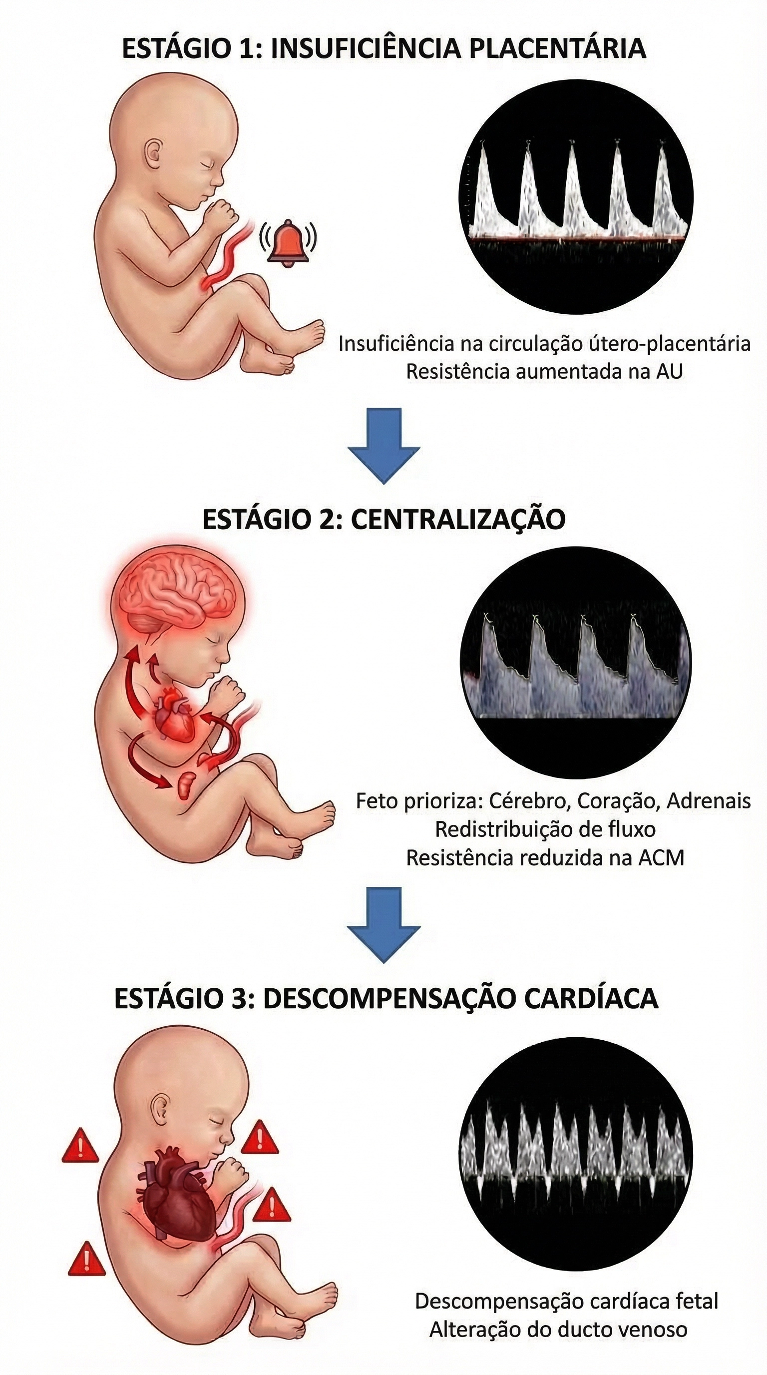 sequencia_final_fundo_branco